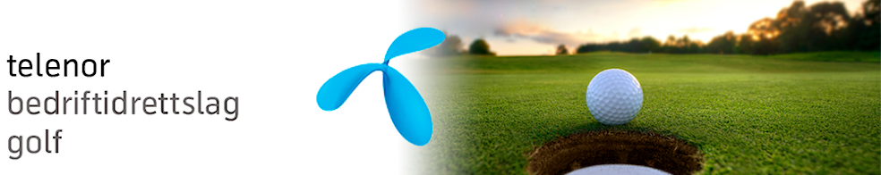 Telenor BIL Oslo - Golf